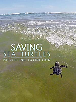 Saving Sea Turtles: Preventing Extinction