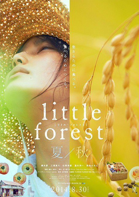 Little Forest Natsu Aki